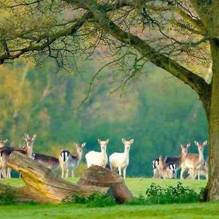 New Forest Retreat Shorefield Country Park Lymington Luaran gambar