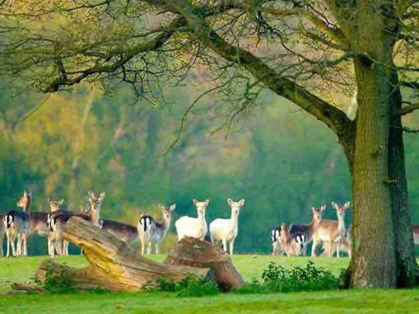 New Forest Retreat Shorefield Country Park Lymington Luaran gambar