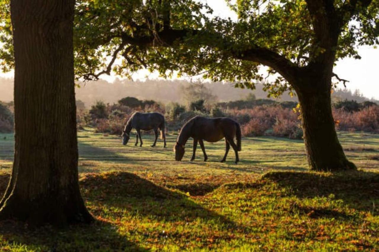 New Forest Retreat Shorefield Country Park Lymington Luaran gambar